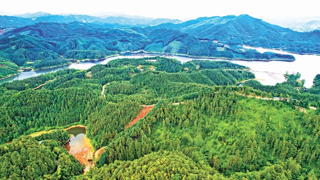 vwin德赢中国好杉出柳州柳州好杉出融安(图1)